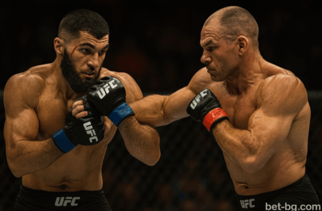bet365 ufc
